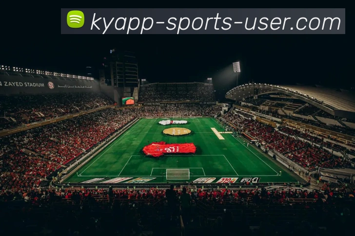 开云体育APP 高清赛事图